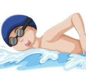 Stage de natation été 2026